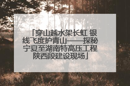 穿山越水架长虹 银线飞度护青山——探秘宁夏至湖南特高压工程陕西段建设现场